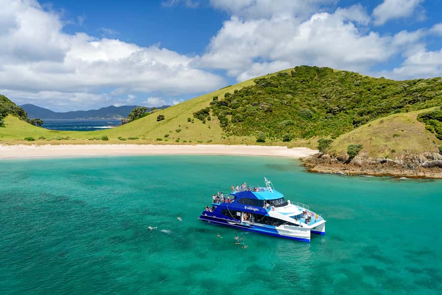 From Paihia: Full-Day Bay of Islands Cruise - Dolphins, whales, penguins, and the marine mammal guarantee