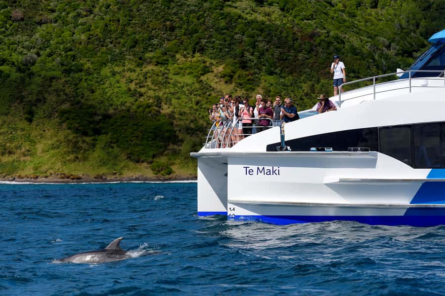 From Paihia: Full-Day Bay of Islands Cruise - Urupukapuka Island gives the day a proper break