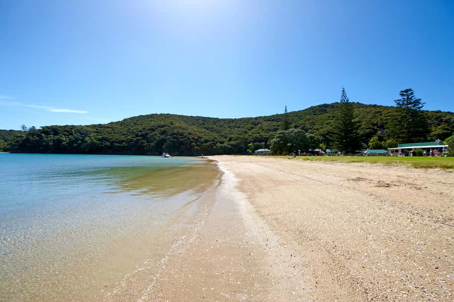 From Paihia: Full-Day Bay of Islands Cruise - Is $116 a fair price?