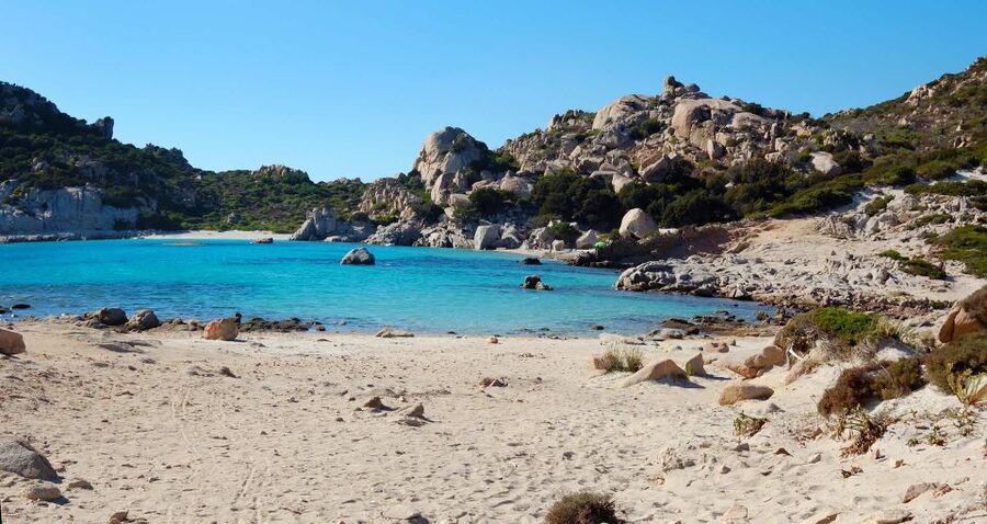 From Palau: La Maddalena Archipelago Boat Tour with Pasta - Why This Palau Boat Tour Works So Well