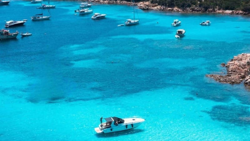 From Palau: Speedboat tour in La Maddalena Archipelago - What the 12-meter speedboat is like