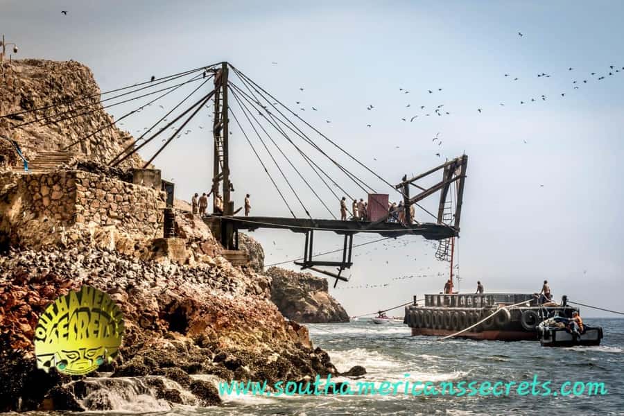 From Paracas: Ballestas Islands tour all Inclusive - From Paracas Harbor to the Pacific Wildlife