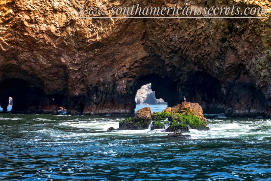 From Paracas: Ballestas Islands tour all Inclusive - The Candelabro: A Desert Mystery Seen From the Water