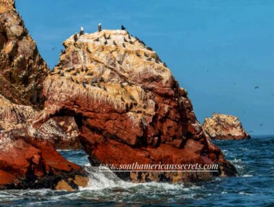 From Paracas: Ballestas Islands tour all Inclusive