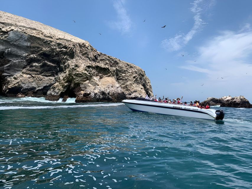 From Paracas: Ballestas Islands tour all Inclusive - Who Should Book This Boat Tour?