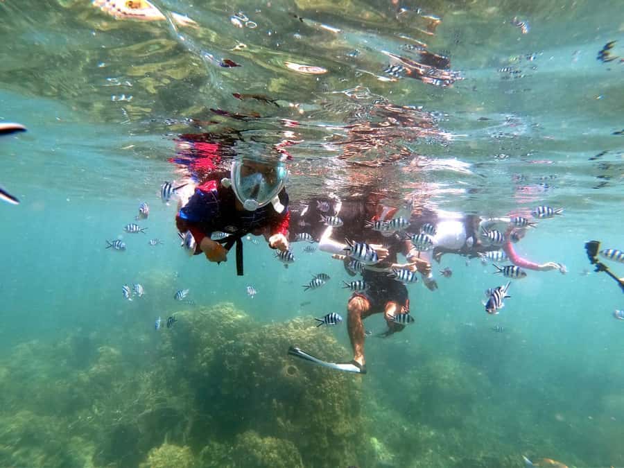 From Phi Phi: 6 Hrs Private Phi Phi Islands Boat Tour - Who should book this Phi Phi tour?