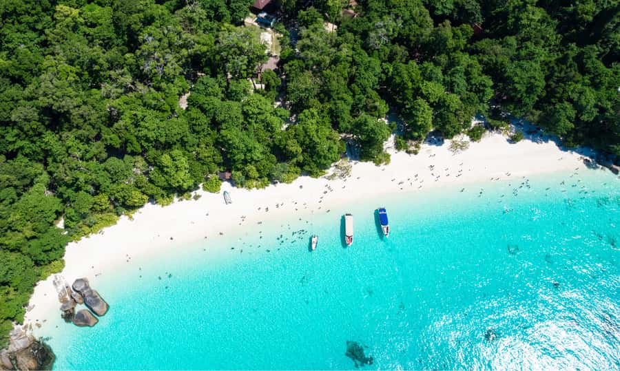 From Phuket or Khaolak : Similan Islands Day Trip - Island 7 and the hunt for Nemo