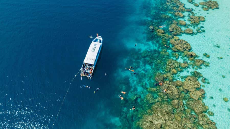 From Phuket or Khaolak: Surin Islands Day Trip - The return to the pier and hotel