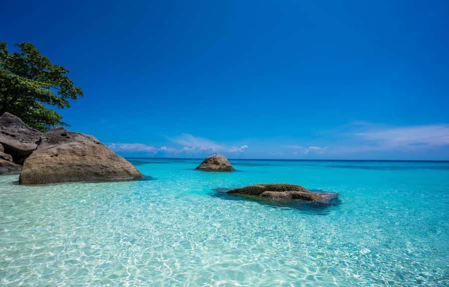 From Phuket: Similan Islands Day Trip - Snorkeling near Islands 9 and 7