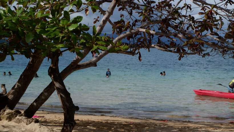 From Puerto Princesa: Honda Bay Island Hopping Full-Day Tour - Swimming, fish, and sea life