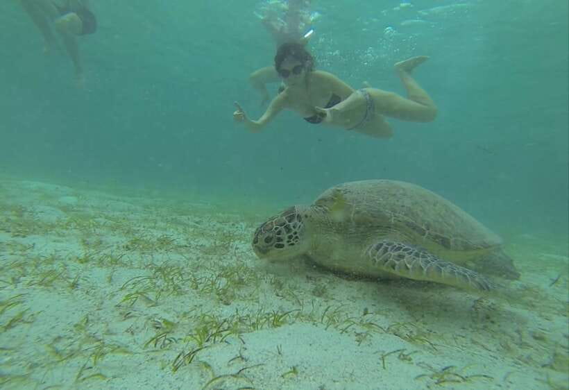 From Puerto Princesa: Port Barton & Island Hopping Day Trip - The 5 AM pickup and four-hour drive