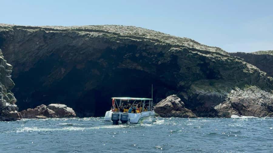 From San Martin Port: Ballestas Islands Tour in Paracas - Key points at a glance