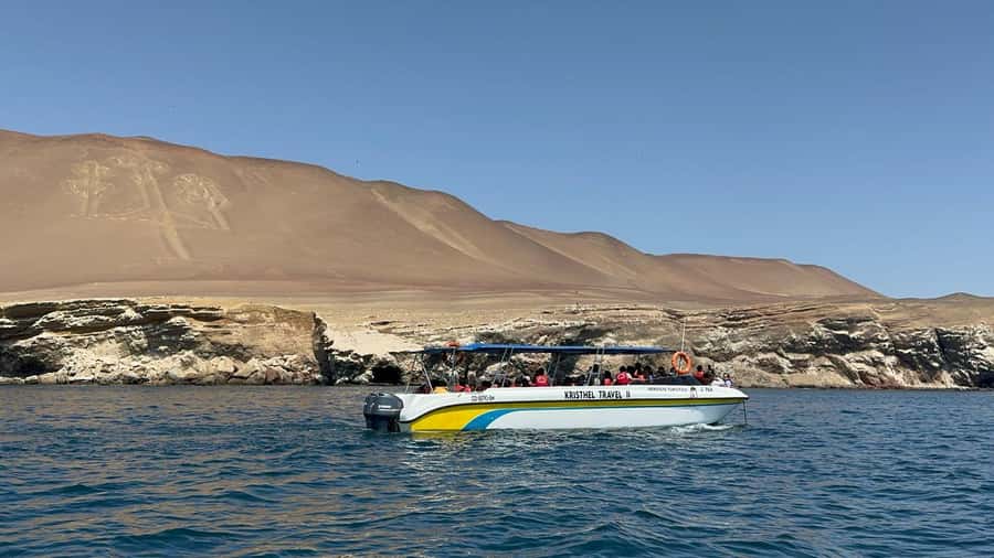 From San Martin Port: Ballestas Islands Tour in Paracas - Why this coastal trip earns a place in your port day