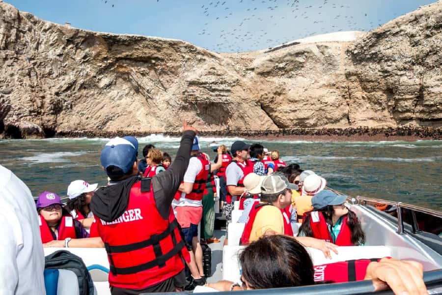 From San Martin Port: Ballestas Islands Tour in Paracas - The return to San Martin Port needs a clear plan