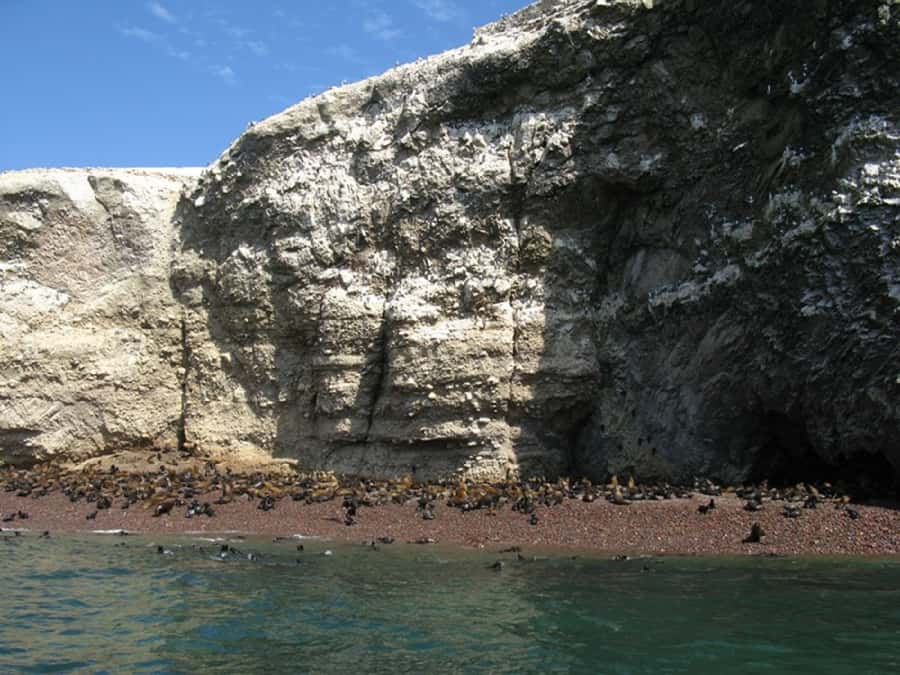 From San Martin Port: Ballestas Islands Tour in Paracas - What to pack for the Ballestas Islands