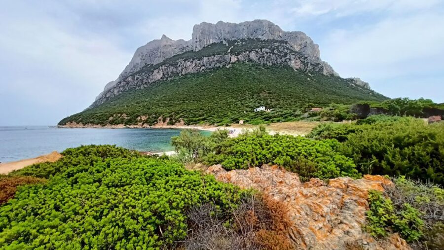 From San Teodoro: Tavolara Archipelago Dinghy Mini Tour - Key points to know before you book