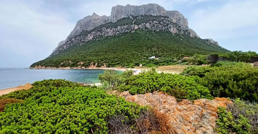 From San Teodoro: Tavolara Archipelago Dinghy Mini Tour - Cala Brandinchi, Sardinia’s Little Tahiti