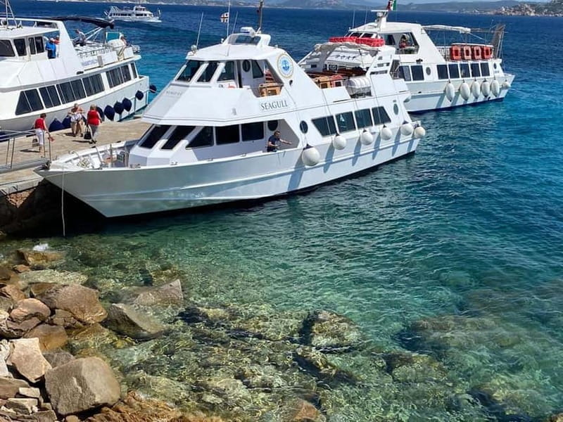 From Santa Teresa Gallura: La Maddalena Archipelago Cruise - Budelli and Porto della Madonna from the boat