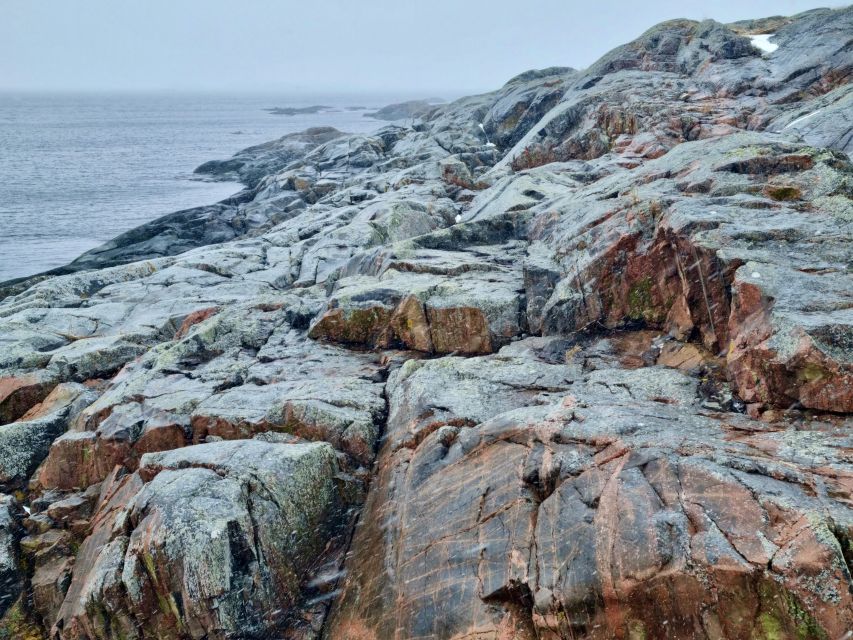 From Stockholm: Archipelago Hike to Landsort Lighthouse - Who should book this Öja day trip?