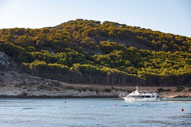 From Trapani: Egadi Islands tour with lunch on board - Levanzo, a smaller and quieter stop