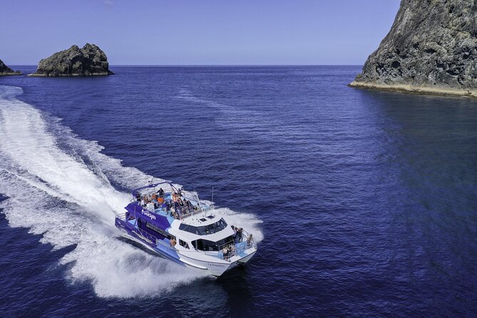 Full-Day Bay of Islands Tour by Vigilant Yacht Charters - Value at $114.81 per person