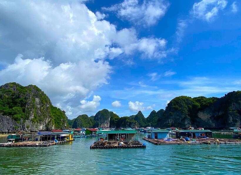 Full Day Boat Tour explore Cat Ba Archipelago & Lan Ha Bay - Who should book this tour