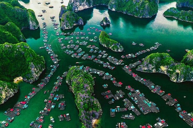 Full Day Boat Tour in Halong Bay, Cat Ba Archipelago & Lan Ha Bay - Cycling into Viet Hai Village