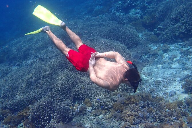 Full-Day Island-Hopping Tour from Bali - Indonesian buffet lunch back on Lembongan