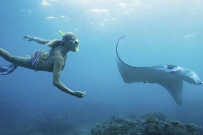 Full-Day Island-Hopping Tour from Bali - Devil’s Tears and the force of the surf