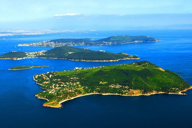 Full Day Istanbul Princes’ Islands Tour with Lunch - Reaching Buyukada by boat