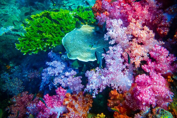 Full-Day Koh Lipe 7 Islands Snorkeling Experience with Lunch - Koh Hin Sorn and the afternoon bays