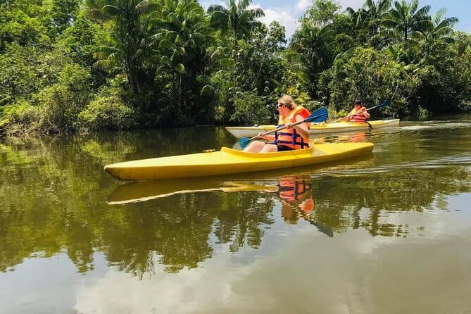 Full day Phu Quoc Discovery 4 Island with Cable Car Tour - What guides and family groups can expect