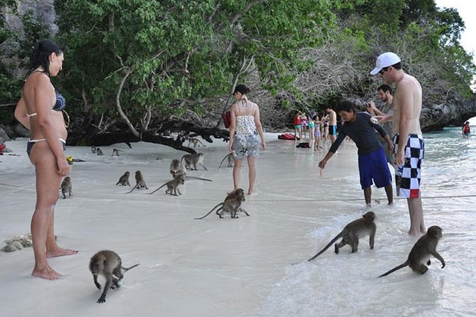 Full Day & Sunset Phi Phi Islands Tour From Phi Phi by Speedboat - The practical details that matter most