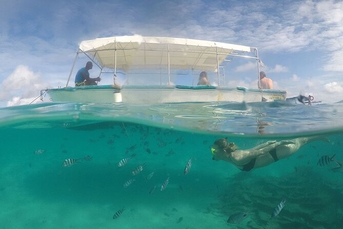 Full Day Tour 5 Island to Ile Aux Cerfs Incl. Lunch and Transfer - Ilot Flamants and the long run toward the waterfall