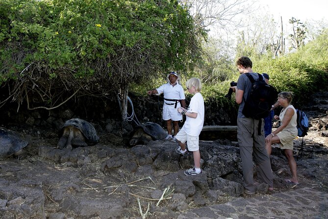 Galapagos Intensive 5 days, land base (3Islands) Excludes galapagos flight - Day 4: Bartolomé’s volcanic view and another snorkel