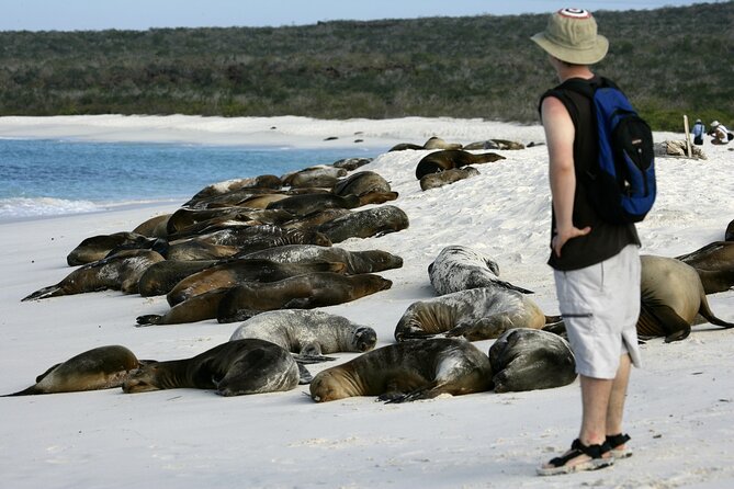 Galapagos Intensive 5 days, land base (3Islands) Excludes galapagos flight - Hotels, food, ferries, and communication