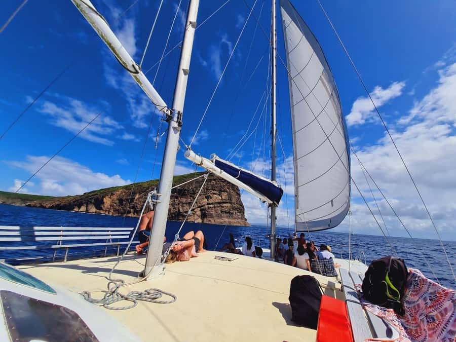 GBaie: 3 North Islands Cruise, Lunch & CoindeMire Snorkeling - Ilot Gabriel and the island’s birdlife