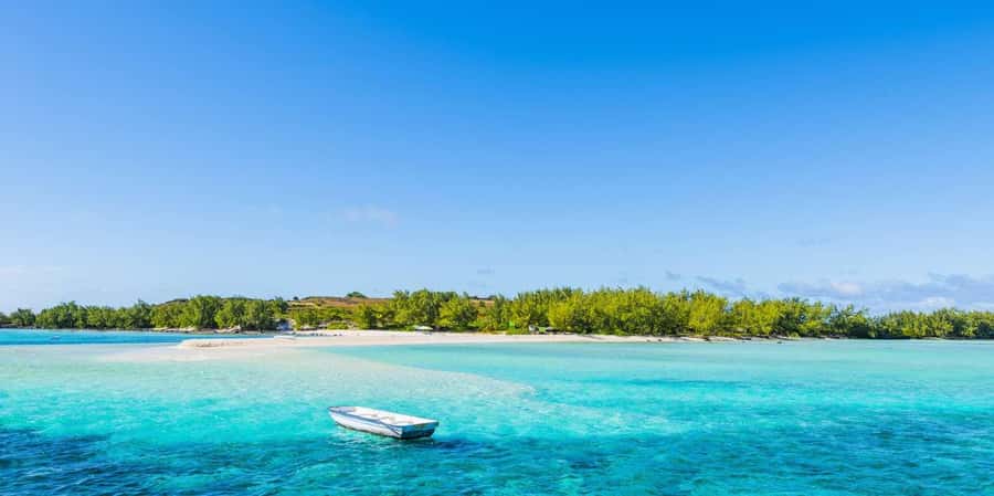 GBaie: 3 North Islands Cruise, Lunch & CoindeMire Snorkeling - Who will enjoy this day most