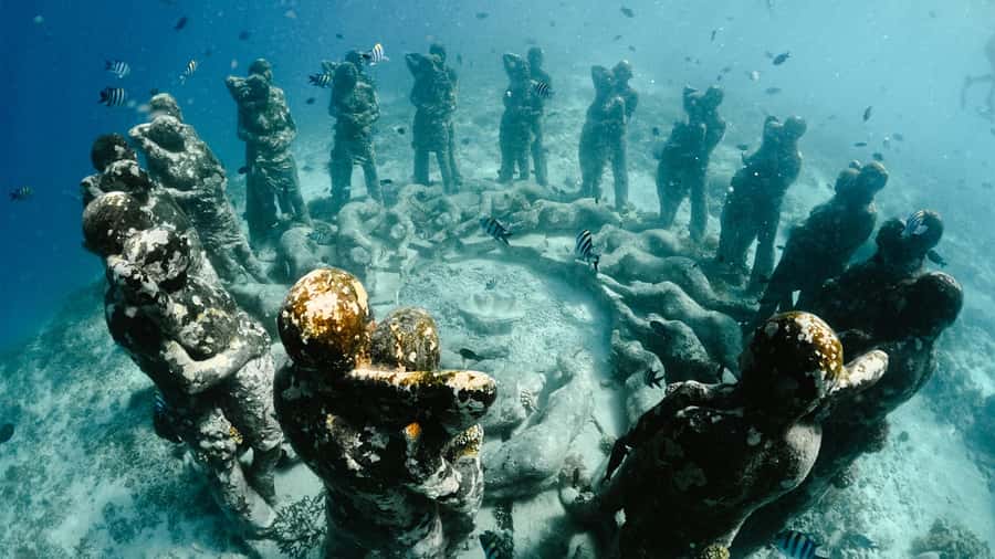 Gili Trawangan: 3 Gili Islands Turtle Snorkel Cruise w/ BBQ - Key points to know before you book