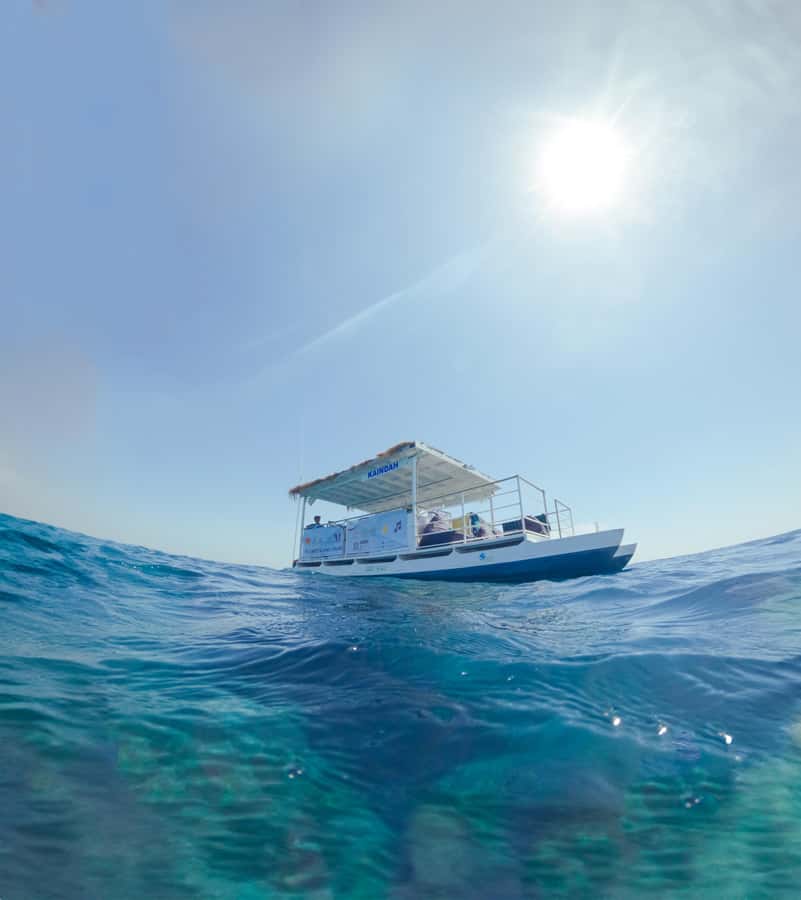 Gili Trawangan: 3 Gili Islands Turtle Snorkel Cruise w/ BBQ - Timing, cancellations, and the practical details