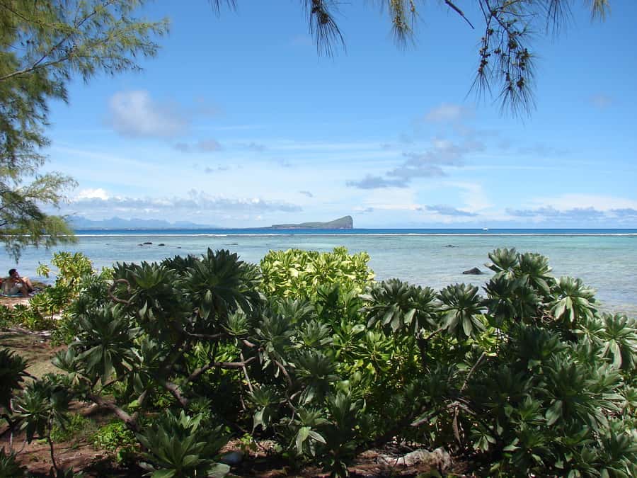 Grand Baie: Three Islands Private Boat Trip and Beach BBQ - Why the early arrival at Flat Island matters