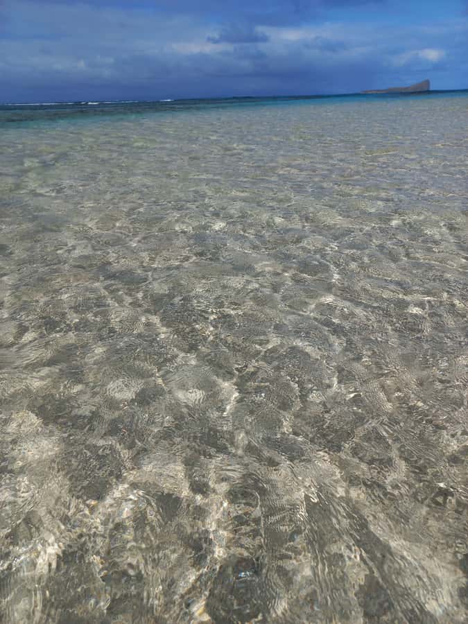 Grand Baie: Three Islands Private Boat Trip and Beach BBQ - Who will enjoy this trip most