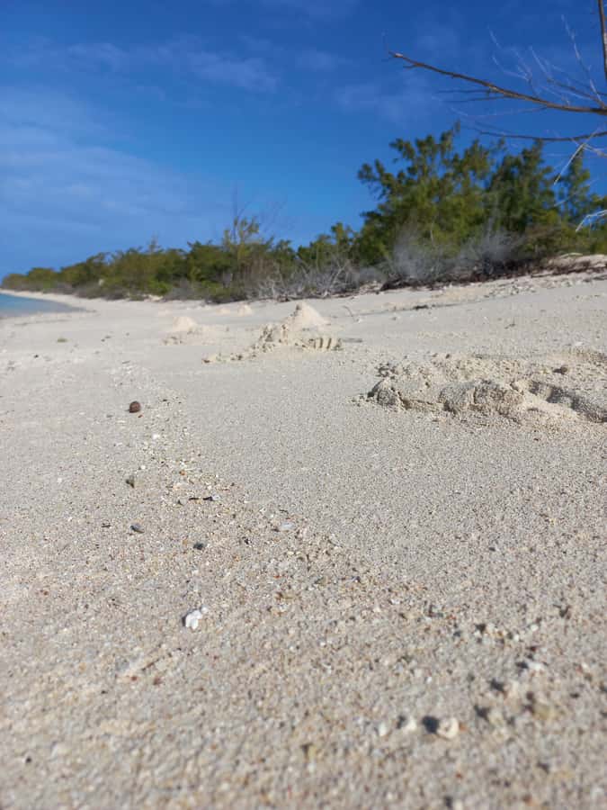 Grand Baie: Three Islands Private Boat Trip and Beach BBQ - Practical details that can save trouble