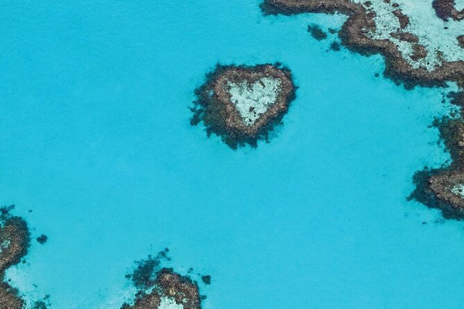Great Barrier Reef and Whitsunday Islands Tour - Key points before you book
