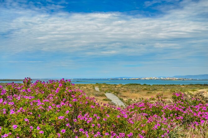 Guided Nature Tour & Hop On Hop Off 3 Islands - Culatra: a fishing village inside the park