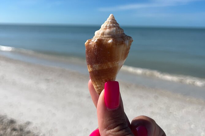 Half Day Shelling Dolphin Eco Tour in 10 000 Island and Marco - Planning your morning in Goodland