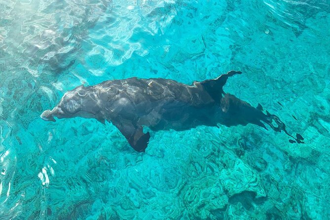 Half Day Snorkeling, Sightseeing & Island Hopping Private Charter (Afternoon) - Smith’s Reef and the snorkeling choice