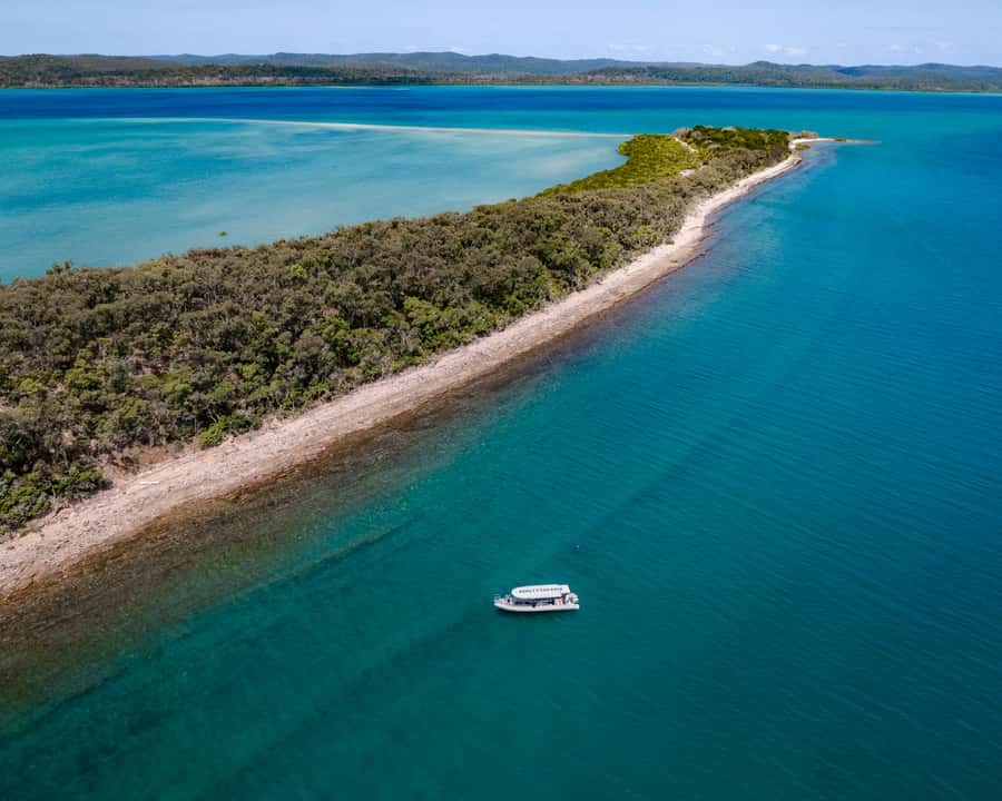Hervey Bay: Exclusive Island Hopper Adventure Cruise - Key points at a glance
