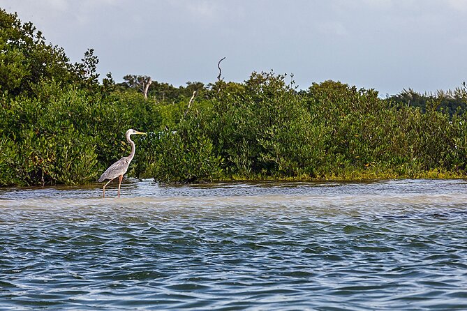 Holbox 3 Island Group Tour - Starting near the ferry landing