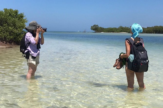 Holbox 3 Island Group Tour - Who should book this boat trip?